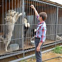  , , 62  -  16  2015   - ..  2015 .