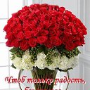 ���� ����, �����, 41 ��� - ��������� 12 �������� 2015 � ������ ������ ��������