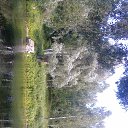 ���� Oleg (�� �������), ������, 62 ���� - ��������� 16 ������� 2015 � ������ ����. ������ ������������� �������