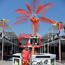 ���� ������, ��������, 41 ��� - ��������� 15 ������� 2015