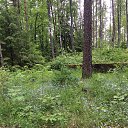 ���� �������, �� �������, �����-��������� - ��������� 9 ������� 2015 � ������ �����, 2015 ���, ���������� ������