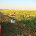 ���� �������, ������-��-����, 72 ���� - ��������� 16 ���� 2015