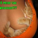  ,  -  4  2015   