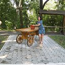���� ��������, ����� - ��������� 13 ������� 2015 � ������ ������ ��������