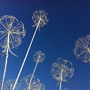 ���� �������, �������������, 44 ���� - ��������� 9 �������� 2015 � ������ �2015�