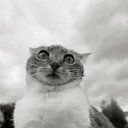 ���� ������, ������, 34 ���� - ��������� 14 ��� 2015