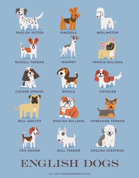 Dog breeds - 5
