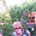 ���� ���������, ���������� - ��������� 3 ������� 2015 � ������ ���� ����������