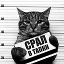 ���� �����, �����, 48 ��� - ��������� 24 ���� 2015 � ������ ������ ��������