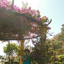 ���� �����, ���������, 62 ���� - ��������� 4 ������� 2015 � ������ ���