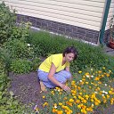 ���� ���������, ������ - ��������� 5 ���� 2015 � ������ ���� ����������