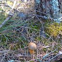  , , 61  -  2  2015   1  2013    ()