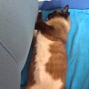 ���� Mari, ����, 46 ��� - ��������� 23 ��� 2015 � ������ �������