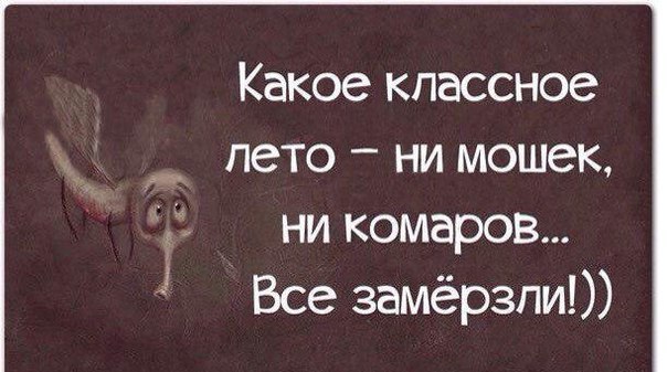  - 23  2015  10:35
