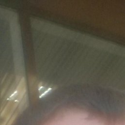 ����, ���!, 38 ���