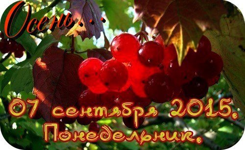  - 7  2015  06:01