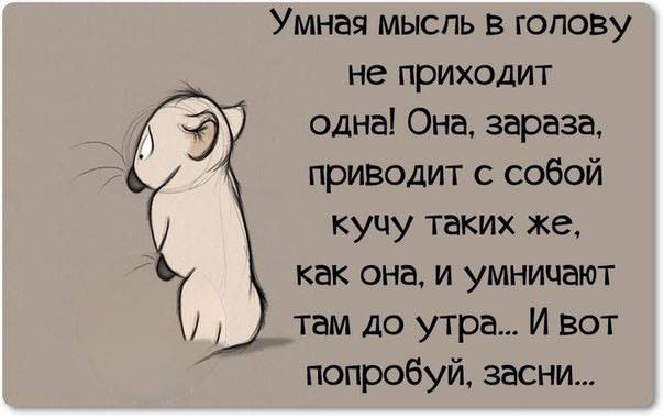 Негодяйка Путала Мысли Негодяйка Путала Мысли