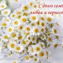 ���� ���������, �����������, 51 ��� - ��������� 8 ���� 2015 � ������ ������ ��������