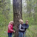 ���� �������, �����-��������� - ��������� 26 ��� 2015 � ������ ���� ����������