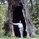 ���� �������, ���������, 69 ��� - ��������� 18 ��� 2015 � ������ ���� ����������