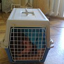    Timeline Photos