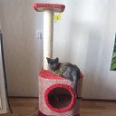 ���� �������, ��������� - ��������� 5 �������� 2015 � ������ ���� ����������