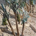 ���� ������, ����� - ��������� 21 ���� 2015 � ������ ������ ��������