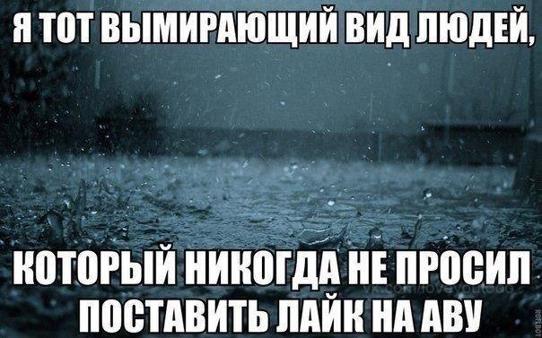   - 22  2015  23:33
