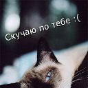 ���� ����, �����-���������, 43 ���� - ��������� 27 ������� 2015 � ������ ������ ��������