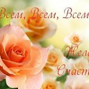 ���� �������, �������������-����������, 62 ���� - ��������� 8 �������� 2015 � ������ �������� ��������