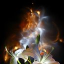 ����������� ����� �� ������� ������� -�������������