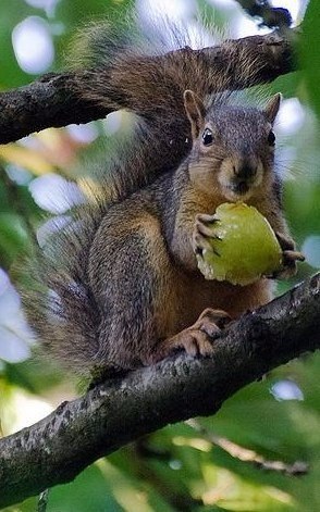   - 19  2015  18:15 - 6