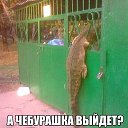 ���� ������, ���������, 57 ��� - ��������� 6 ������� 2015 � ������ ������ ��������