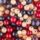 ���� �����, �����������, 55 ��� - ��������� 13 �������� 2015 � ������ ������ ��������