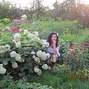 ���� �������, ��������, 49 ��� - ��������� 28 ������� 2015