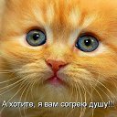 ���� ������, �����-��������� - ��������� 9 �������� 2015 � ������ ������ ��������