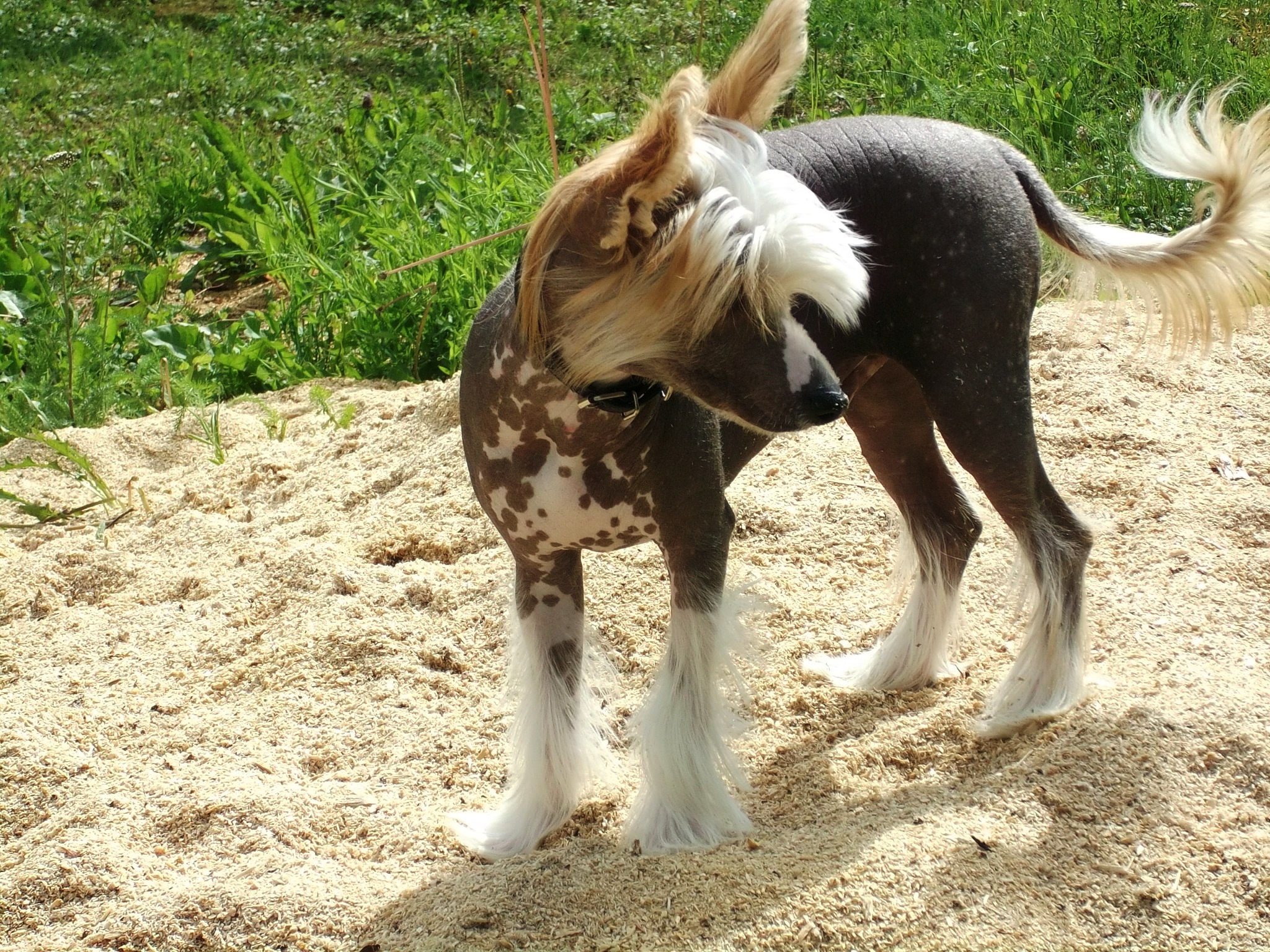 ��� - 29 ���� 2015 � 19:22 - 2