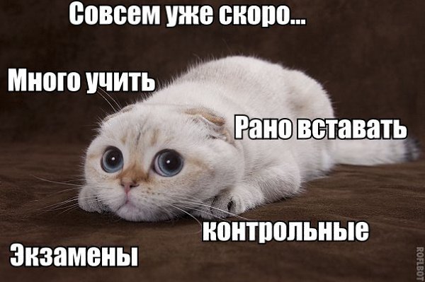 ? ,  ! - 20  2015  09:32
