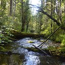 ���� ����, ������ - ��������� 23 ������� 2015 � ������ ���� ����������