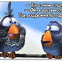 ���� Karlo, ���������, 54 ���� - ��������� 18 ���� 2015 � ������ ������ ��������