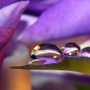 ���� ��������, ��������, 70 ��� - ��������� 2 ������� 2015 � ������ ������ ����