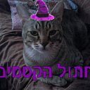 ���� ���������, ����-���� - ��������� 15 ���� 2015 � ������ ���� ����������