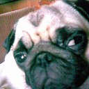 ���� ����, ���������, 60 ��� - ��������� 28 ���� 2015 � ������ ���� ����������