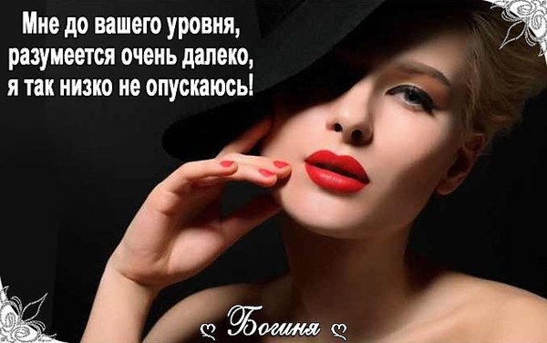   - 11  2015  10:23