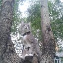  ♥♥, - -  30  2015    