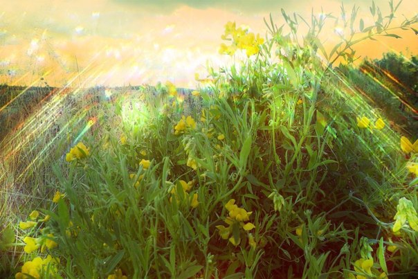 Здоровая любовь к себе — большая ценность. Человек, который не любит себя, никогда не будет в ...