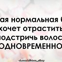 ���� �����, �����, 48 ��� - ��������� 6 ������� 2015 � ������ �3�