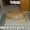 ���� ���������, ������, 65 ��� - ��������� 24 ��� 2015 � ������ ���� ����������