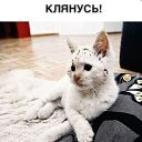 ���� ���������, ��������������� - ��������� 3 ������� 2015 � ������ ���� ����������