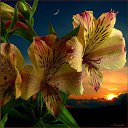 ���� ������, �����-��������, 47 ��� - ��������� 22 �������� 2015 � ������ �������� ��������